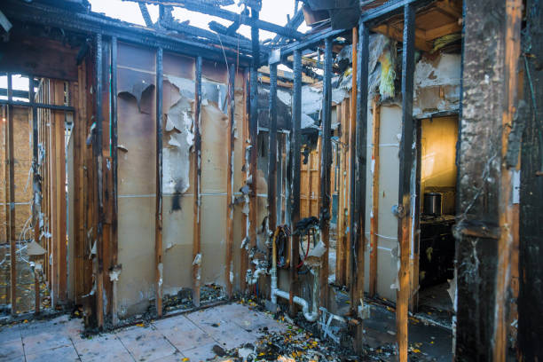 Professional Fire Damage Removal technician working in Petersburg, WV